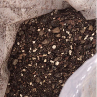 1 kg giá thể trồng sen đá xương rồng soil mix chiếc lẻ