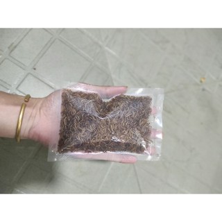 sâu nhỏ rang dành cho hamster, sóc, nhím