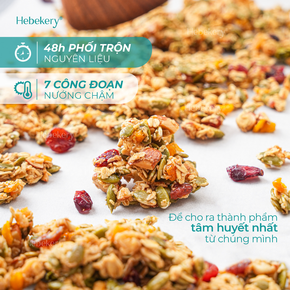 Granola Low Calories Siêu Giòn 5 Vị Hebekery - Ngũ Cốc Ăn Kiêng, Ăn Vặt Healthy Dinh Dưỡng Cho Mẹ Bầu by Demee