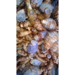 (1kg) Nghệ đen tươi, củ già, hàng chọn