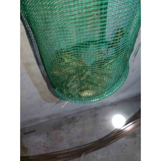 Giỏ cá,giỏ đựng cá ,túi đựng cá