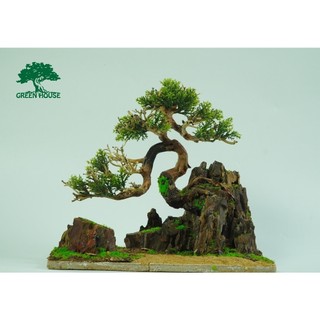 Hòn non bộ mini, Lũa thủy sinh dùng trang trí hồ cá cảnh, hồ thủy sinh, văn phòng, nhà cửa- NHÀ XANH