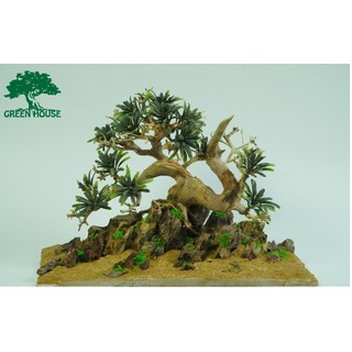 Hòn non bộ mini, Lũa thủy sinh dùng trang trí hồ cá cảnh, hồ thủy sinh, văn phòng, nhà cửa- NHÀ XANH