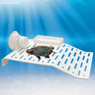Máng leo cho rùa nước bò sát - phụ kiện rùa