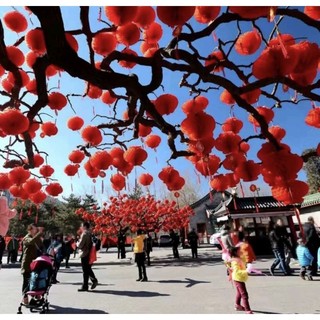 Lòng Đèn Đỏ Dán Trang Trí Tết,Rằm