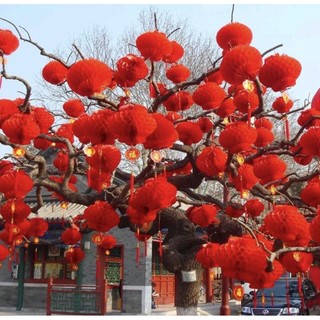 Lòng đèn đỏ dán trang trí tết,rằm