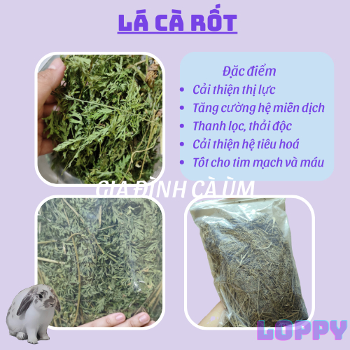 NGỌN CÀ RỐT - đồ ăn vặt dành cho thỏ/chuột lang