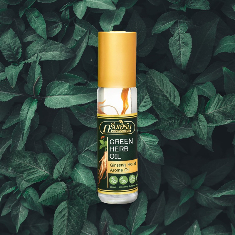 Dầu Lăn Thảo Dược Nhân Sâm Green Herb Oil Thái Lan