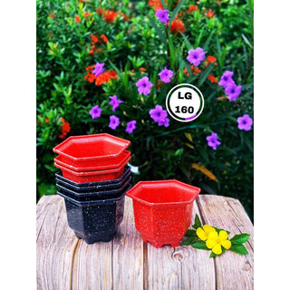 Chậu nhựa lục giác 160