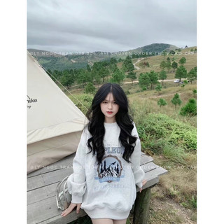 Áo sweater mountain hàng l1