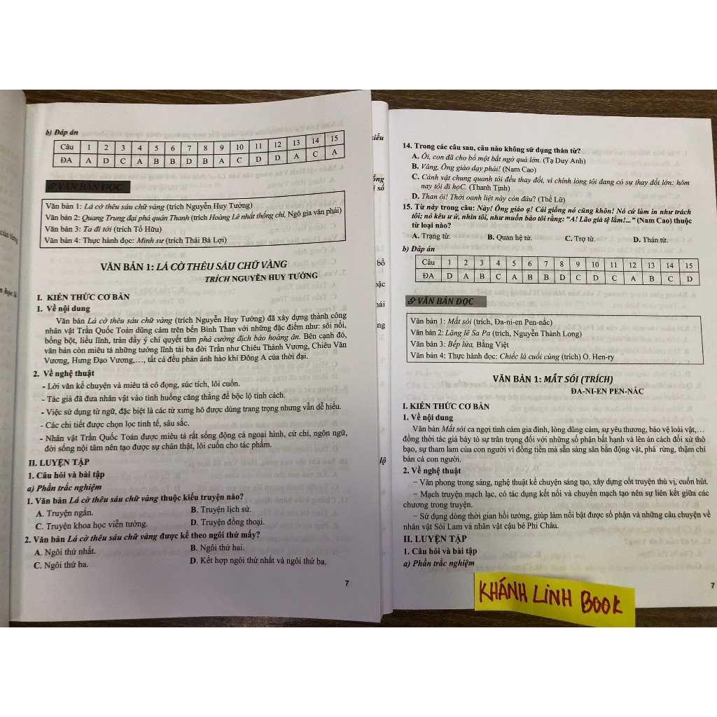 Sách - Bài tập phát triển năng lực ngữ văn 8 - tập 2