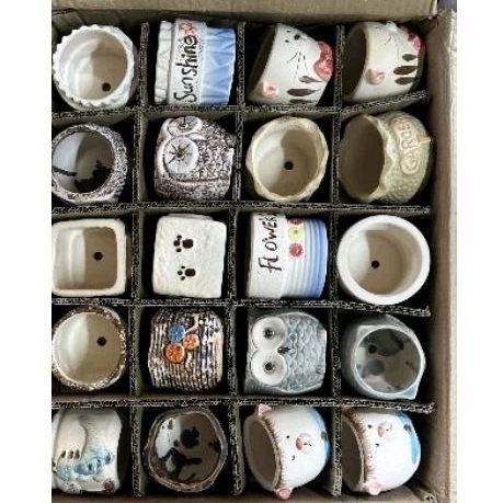 Xả Xả Xả .Chậu gốm mộc trồng sen đá,xương rồng siêu xinh.