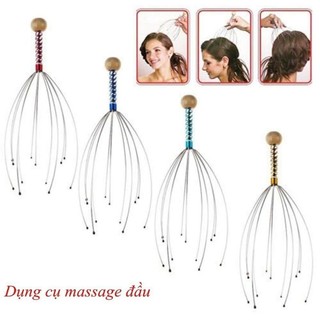 cây massa đầu bạch tuộc