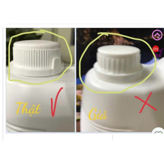 Nước Rửa Chén-Bát Lipon F - Lion Thái Lan 3,2L ( Loại 1-Chuẩn Thái)