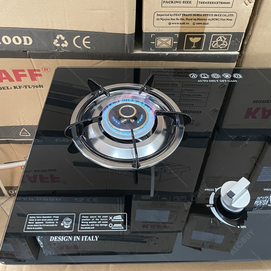 Bếp gas âm FUJISHI FJ-809IC - CHÉN ĐỒNG - Đánh lửa IC cực nhạy - Lửa xanh tiết kiệm gas - Bảo hành chính hãng 02 Năm