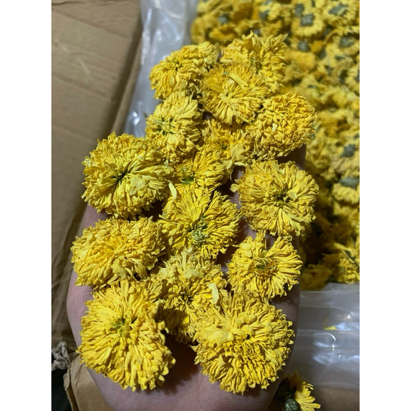 100gam Trà Hoa Cúc Vàng