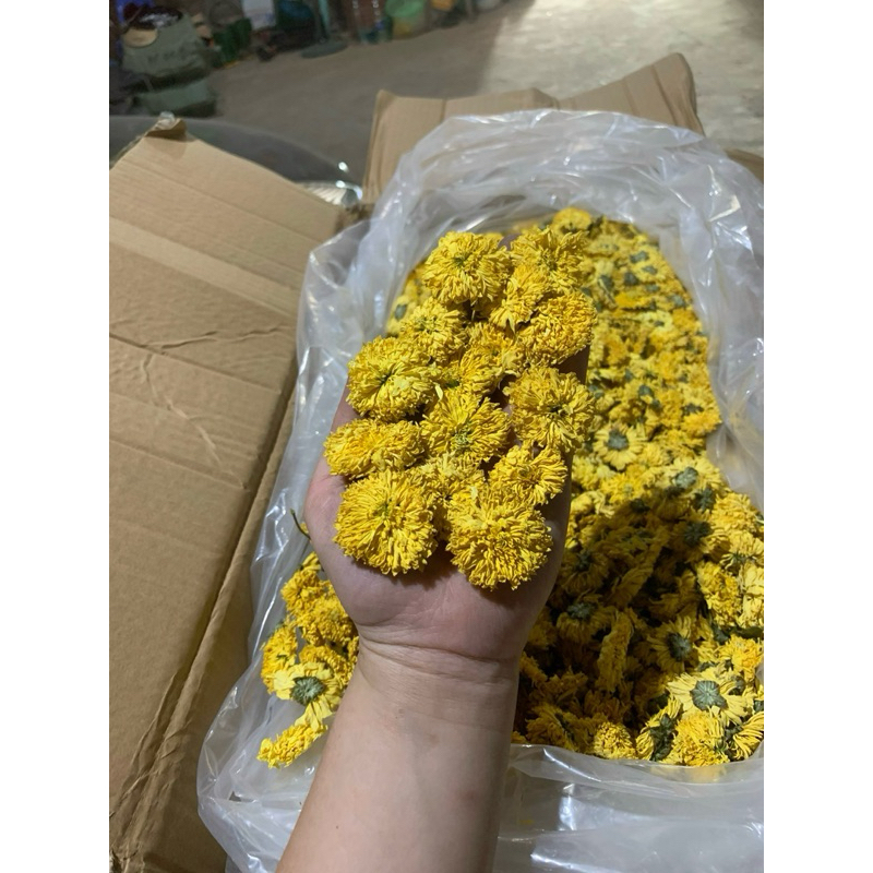 100gam Trà Hoa Cúc Vàng