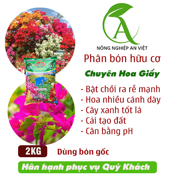 Phân bón hữu cơ cho hoa giấy Voi Xanh 2kg, phân bón hoa giấy ra hoa nhiều, tậu tán. Phân bón hữu cơ vi sinh cho hoa giấy