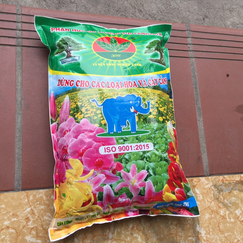 Phân bón hữu cơ cho hoa giấy Voi Xanh 2kg, phân bón hoa giấy ra hoa nhiều, tậu tán. Phân bón hữu cơ vi sinh cho hoa giấy