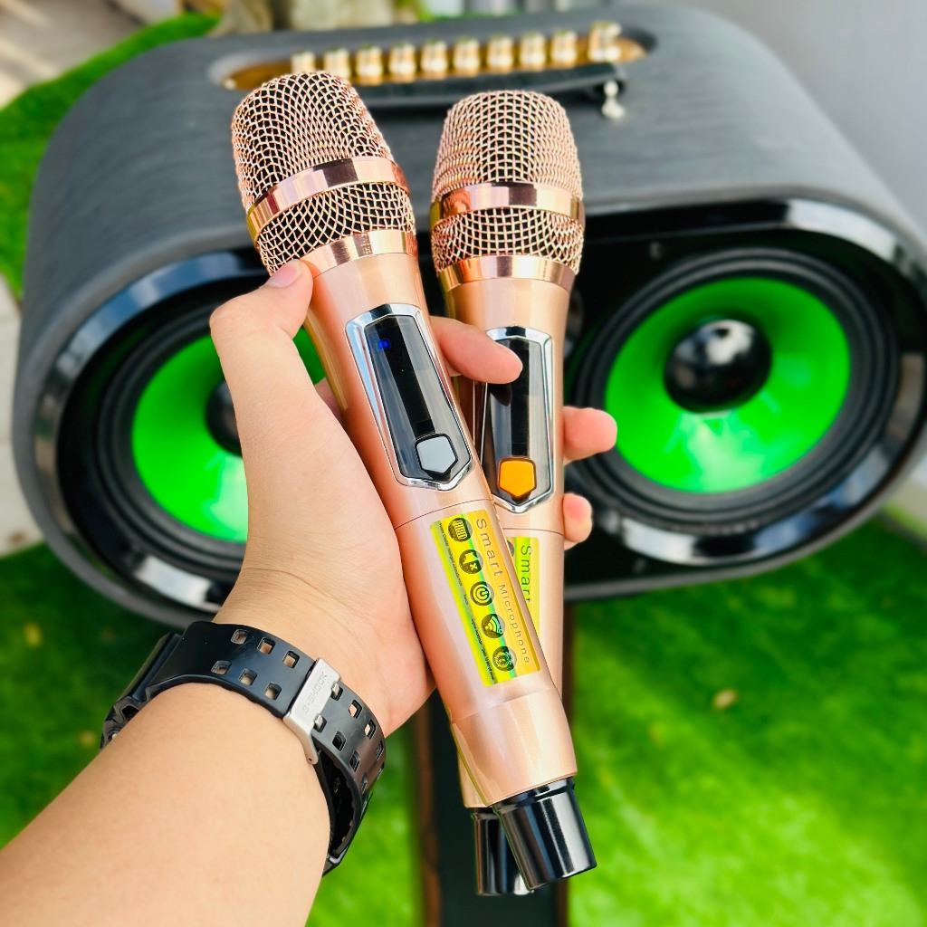 Loa Karaoke Xách Tay Mới Nhất 2024 - MTMAX DK12Pro - Loa 3 Đường Tiếng Công Suất Lớn 500W, Bass Đôi 2 Tấc