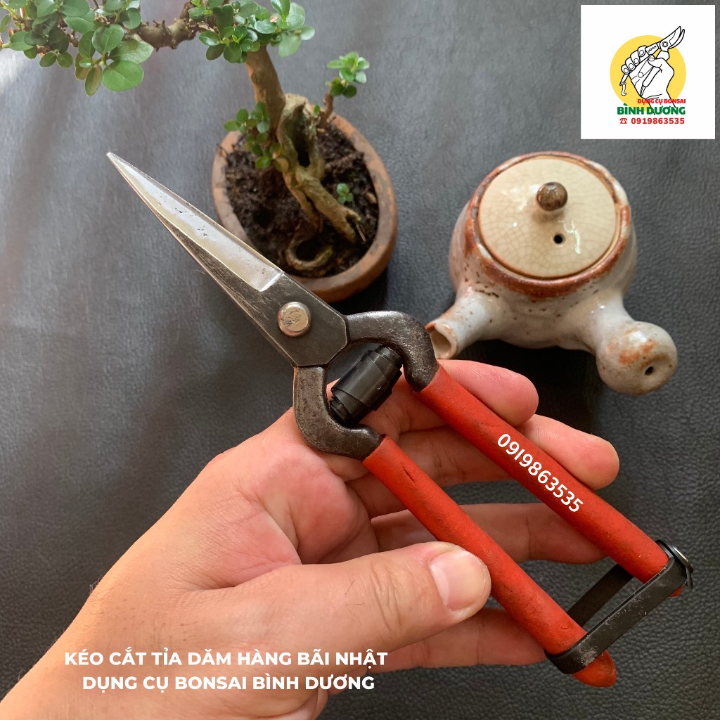 KÉO TỈA DĂM THÉP ĐÚC JAPAN