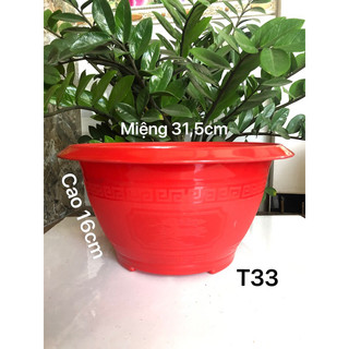 Chậu nhựa truyền thống t33 mẫu mới màu đỏ 31x16