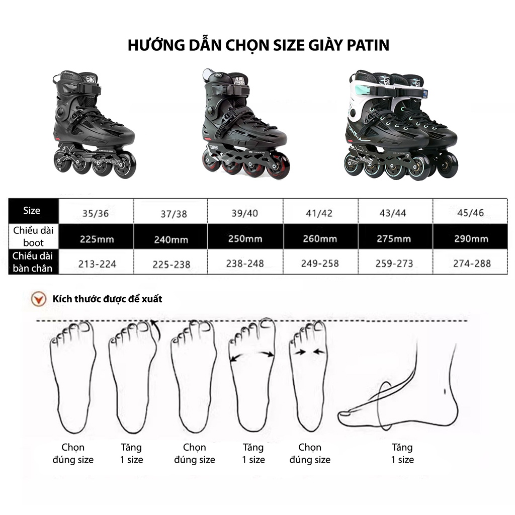 Giày patin người lớn Flying Eagle BKB B5S chính hãng