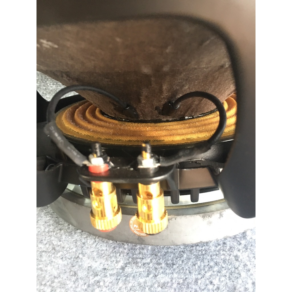 LOA BASS 40 NR AUDIO TỪ 220 COIL 100 XƯƠNG NHÔM - MÃ 15WF536 - CHÍNH HÃNG