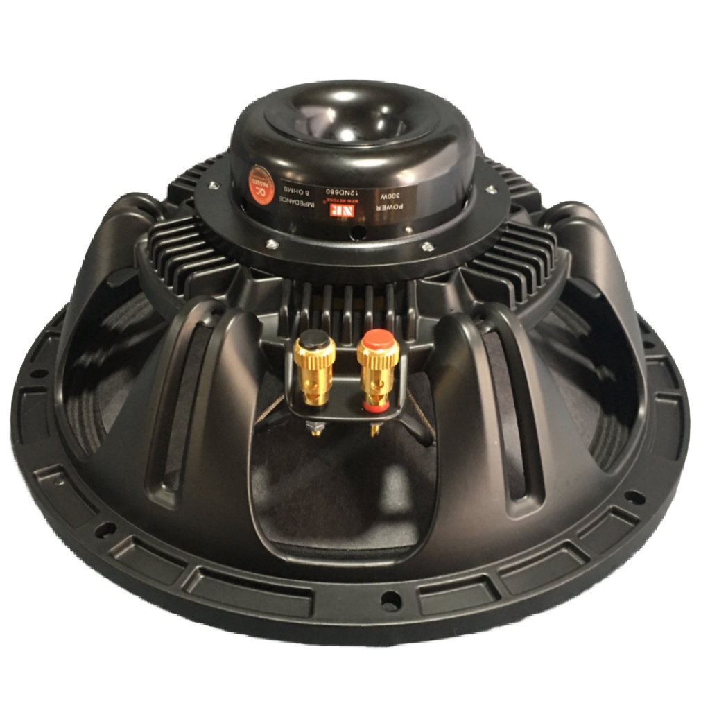 LOA BASS 30 NR NEO KHỐI 100 COIL 76 DÂY DẸT MÀNG CHỐNG THẤM - GIÁ HAI LOA