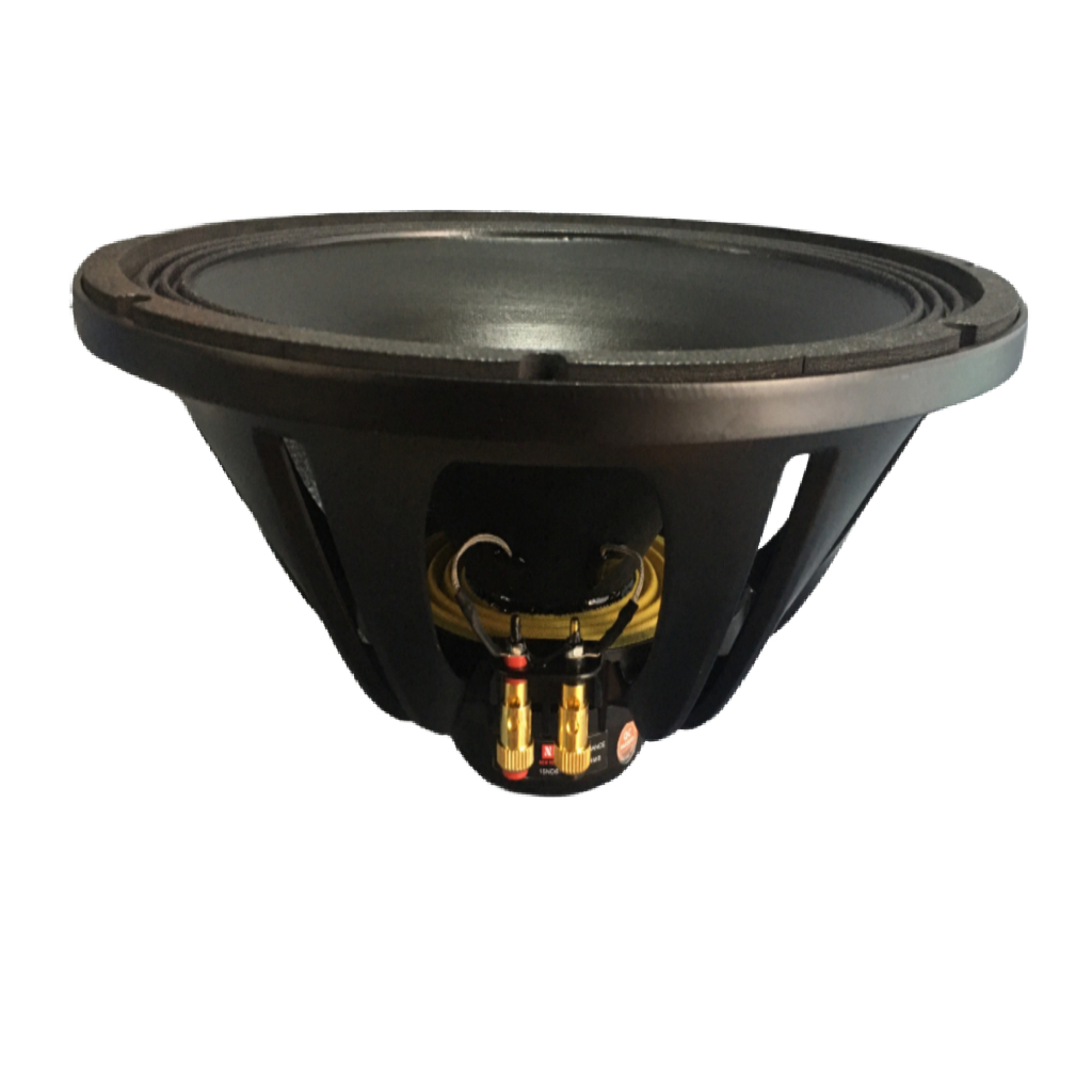 LOA BASS 40 NR AUDIO NEO 100 CÔN DẸT 76MM TIẾNG CỰC SÁNG - GIÁ MỘT LOA