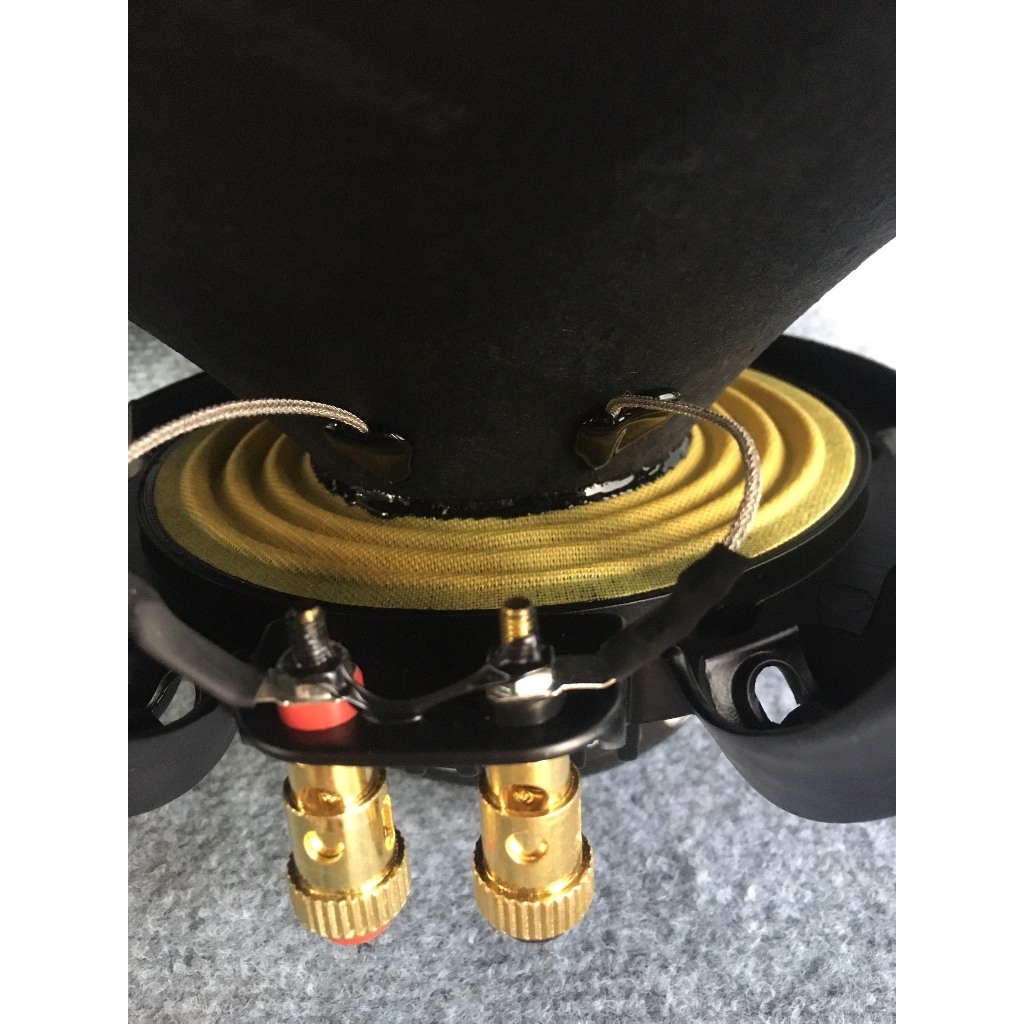 LOA BASS 40 NR AUDIO NEO 100 CÔN DẸT 76MM TIẾNG CỰC SÁNG - GIÁ MỘT LOA