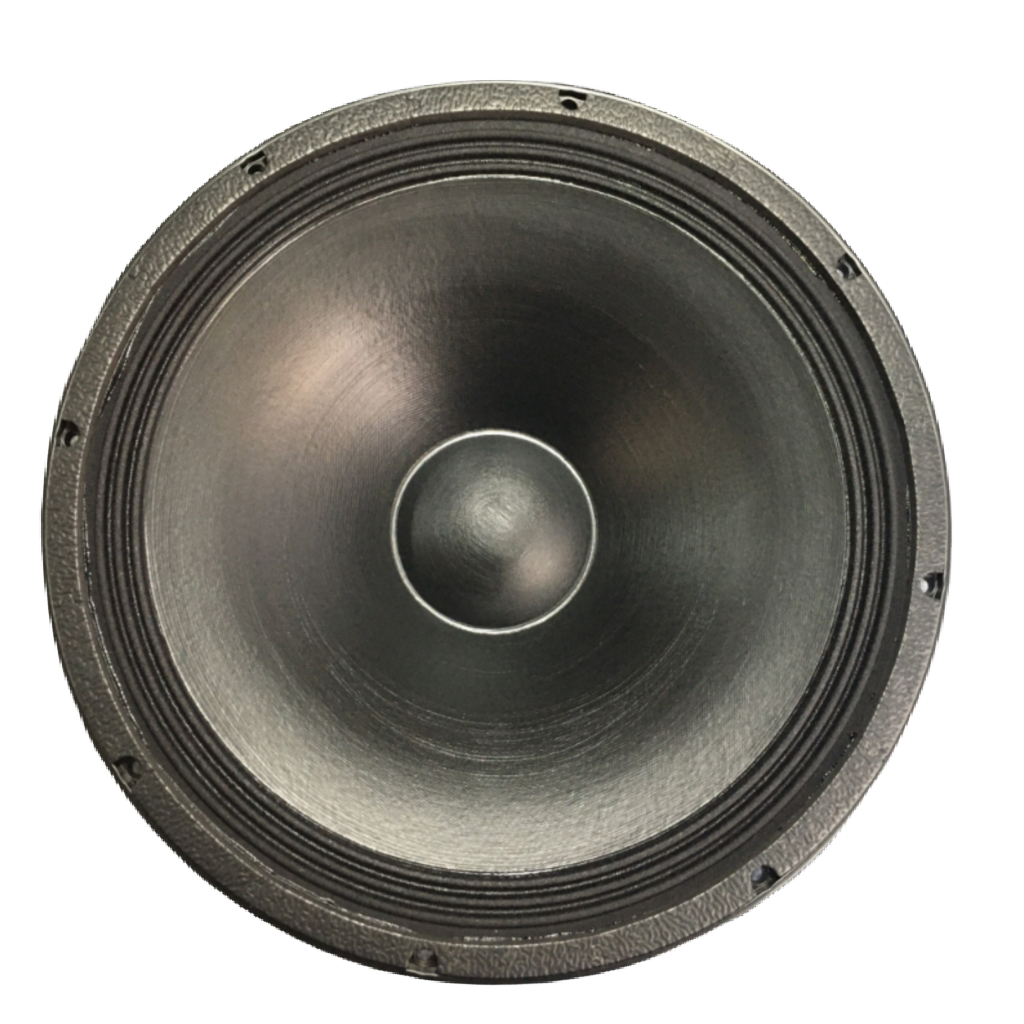 LOA BASS 40 NR AUDIO NEO 100 CÔN DẸT 76MM TIẾNG CỰC SÁNG - GIÁ MỘT LOA
