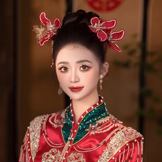 Set cài châm bướm đỏ