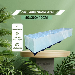Chậu ghép trồng cây kiểng, trồng rau nhựa hdpe cao cấp kt 50x200x40cm - quang anh hcm
