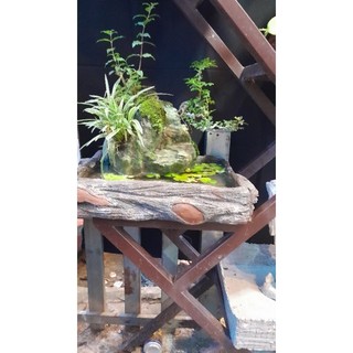 Hòn Non Bộ mini, núi đá bể cá có thác nước