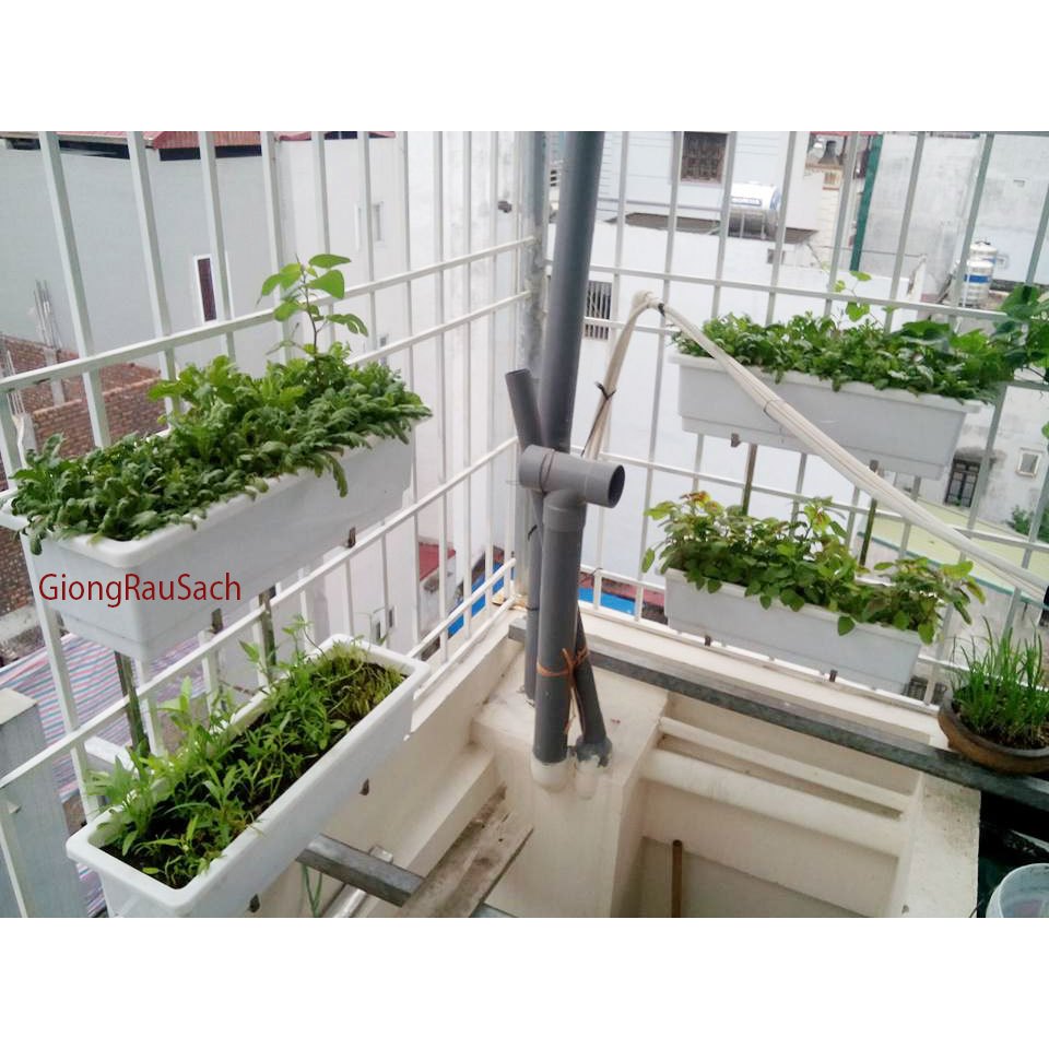 Giá móc treo 3 tầng trồng cây chậu dài to thông minh treo hàng rào thanh sắt 2cm sân thượng