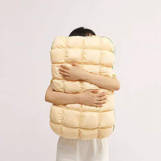 Đôi/ cặp ruột gối dứa thơm❤️freeship-sợi lông vũ, 48x74cm, phù hợp người thích gối mềm và cao