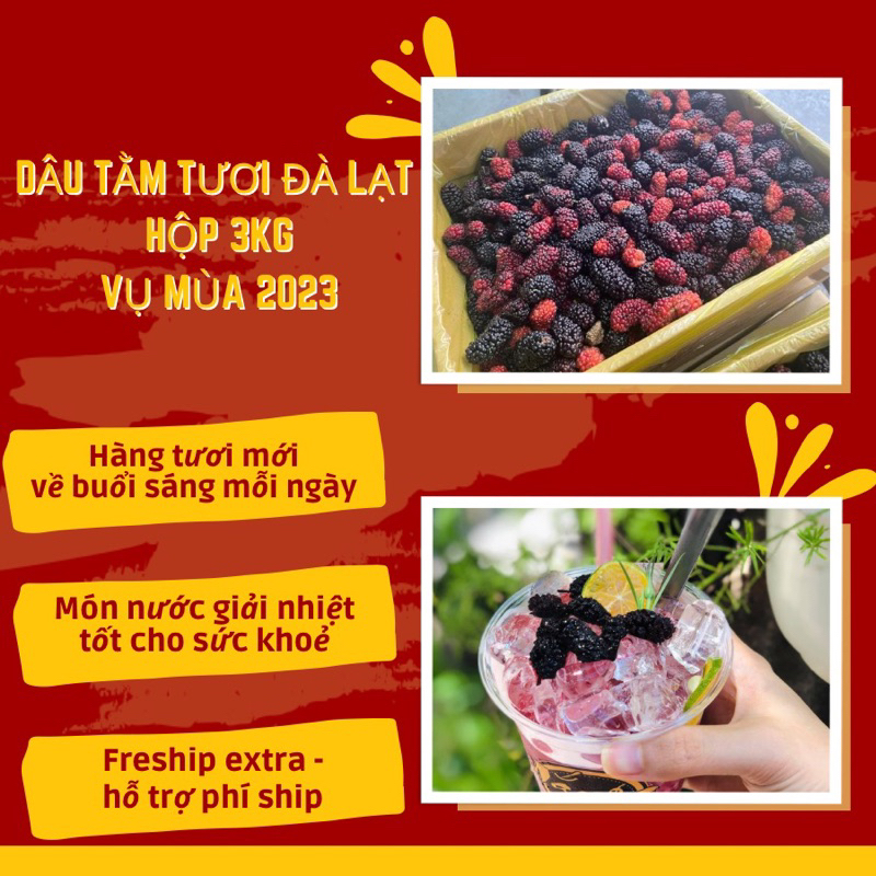 Dâu tằm ngâm siro - Loại ngon tươi mới mỗi ngày