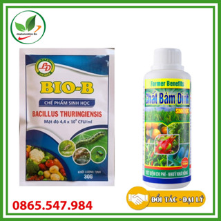 Combo chế phẩm sinh học Bio B 30gram và chất bám dính 120ml.