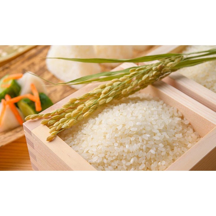 Gạo nhật, Gạo lài nhật  dẻo thơm bao 10kg loại 1bao đổi trả miễn phí GẠO SẠCH GIÁ SỈ | BigBuy360 - bigbuy360.vn