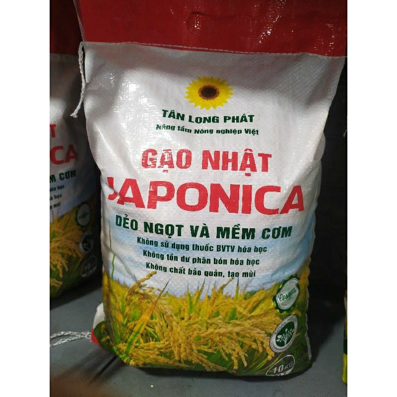 Gạo nhật, Gạo lài nhật  dẻo thơm bao 10kg loại 1bao đổi trả miễn phí GẠO SẠCH GIÁ SỈ | BigBuy360 - bigbuy360.vn