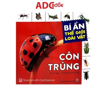 Sách - bí ẩn thế giới loài vật: côn trùng