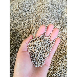 100GRAM HẠT TIÊU SỌ TRẮNG