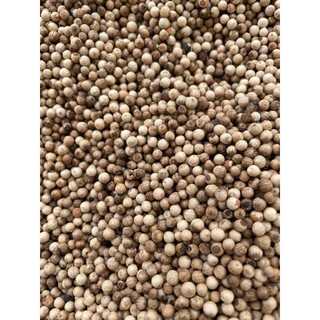 100GRAM HẠT TIÊU SỌ TRẮNG