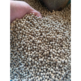 100GRAM HẠT TIÊU SỌ TRẮNG