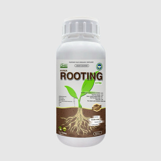 Kích rễ siêu mạnh nhập từ châu âu - Hàng Chính hãng