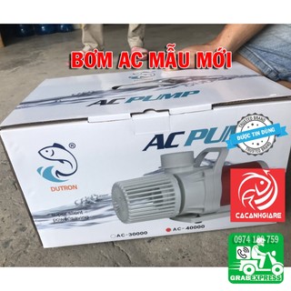 Bơm ac cho hồ cá koi