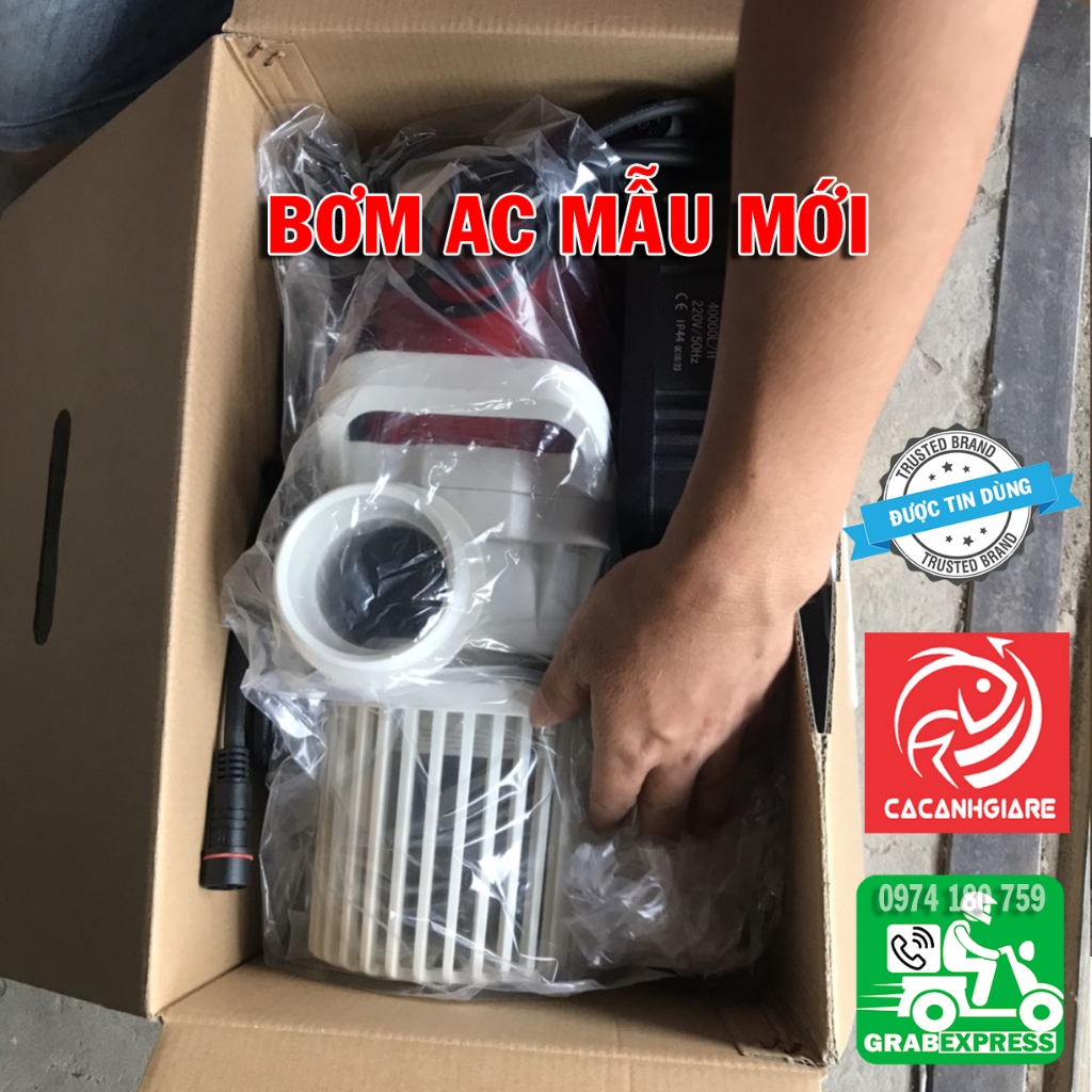 Bơm AC cho hồ cá Koi