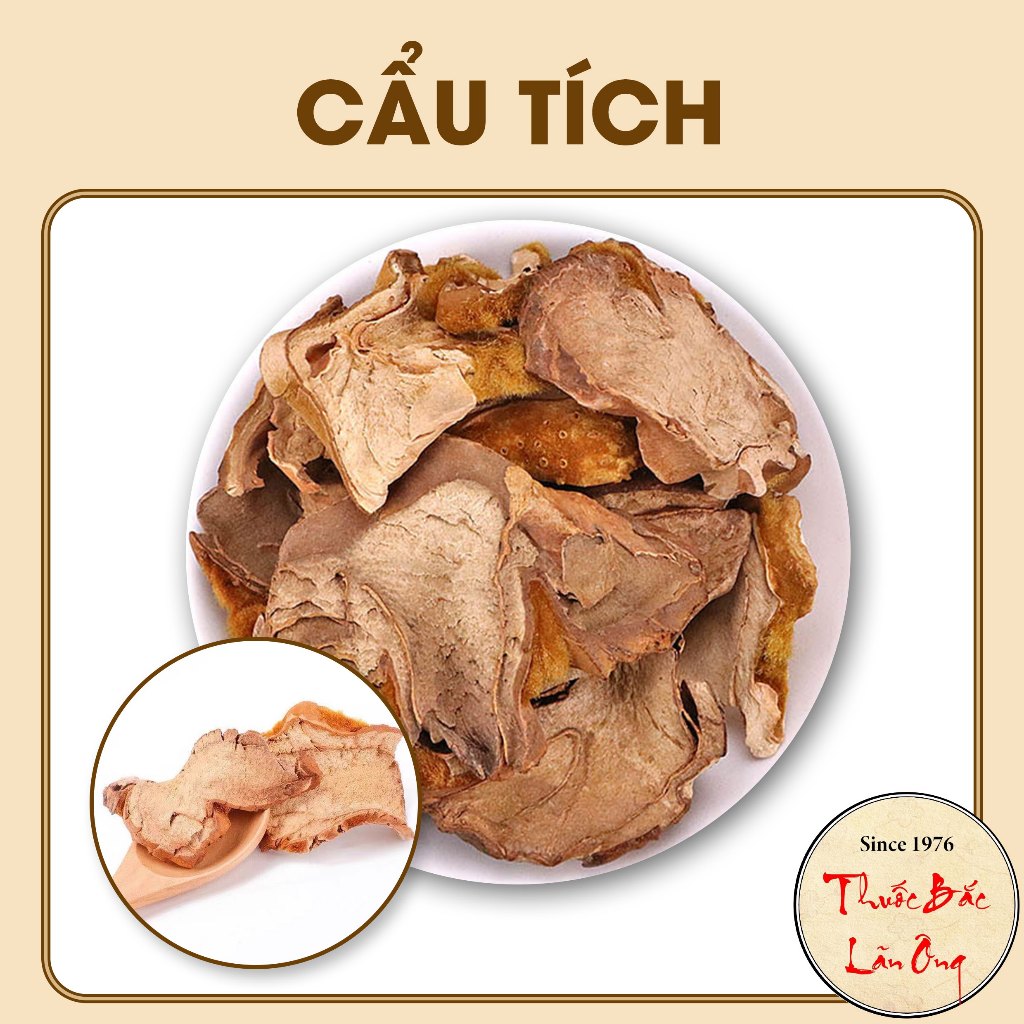 Cẩu tích chưa chế 500g (Cây lông culi giảm tiểu đêm, mạnh gân cốt)