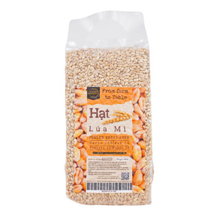 Hạt Lúa Mì Tách Vỏ Và Bột Lúa Mì nấu ăn làm bánh - Wheat seed The Nuts Valley